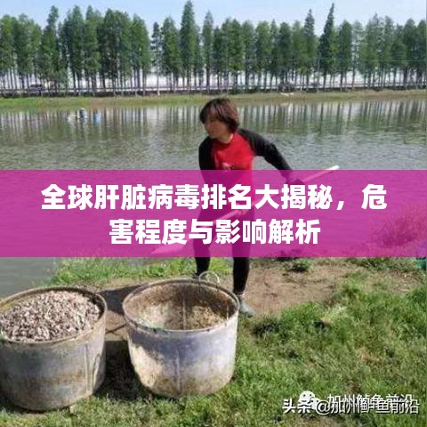 全球肝脏病毒排名大揭秘，危害程度与影响解析
