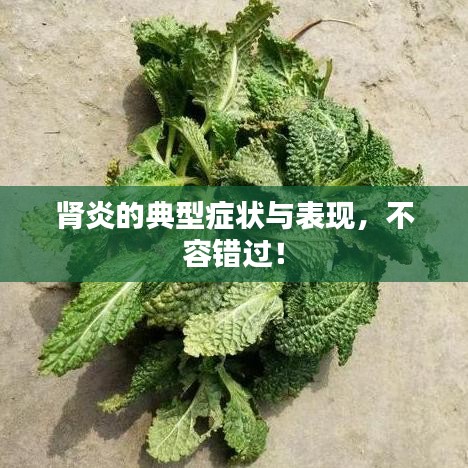 肾炎的典型症状与表现，不容错过！