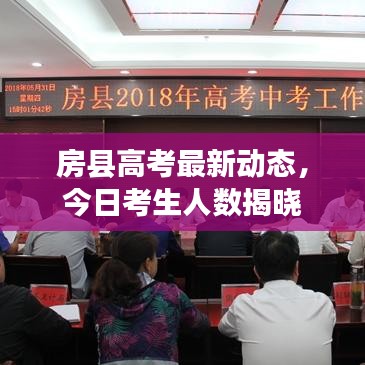 房县高考最新动态，今日考生人数揭晓