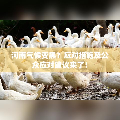 河南气候变黑？应对措施及公众应对建议来了！