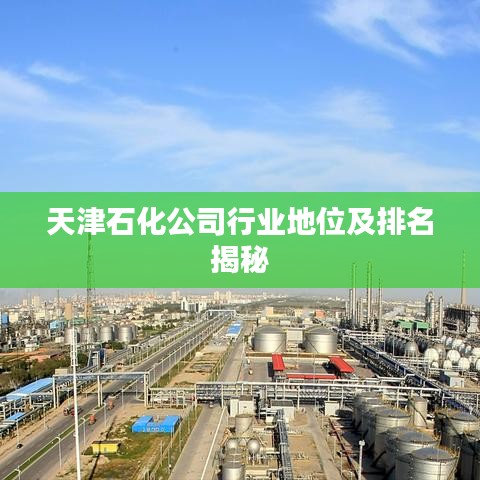 天津石化公司行业地位及排名揭秘