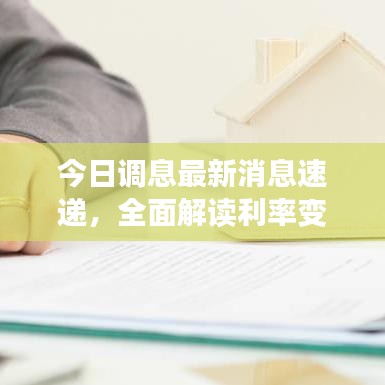 今日调息最新消息速递，全面解读利率变动动态