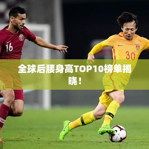 全球后腰身高TOP10榜单揭晓！