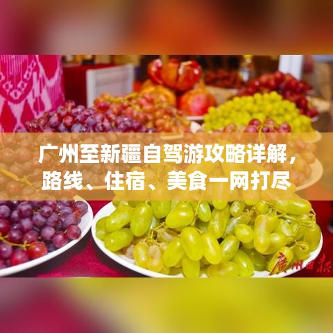 广州至新疆自驾游攻略详解，路线、住宿、美食一网打尽