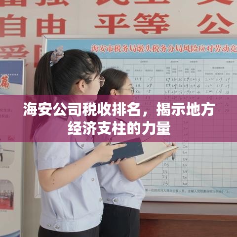 海安公司税收排名，揭示地方经济支柱的力量