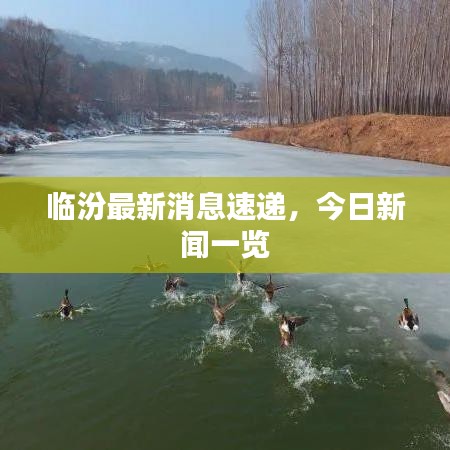 临汾最新消息速递，今日新闻一览