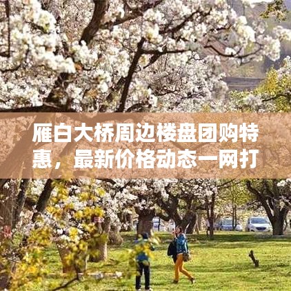 雁白大桥周边楼盘团购特惠，最新价格动态一网打尽