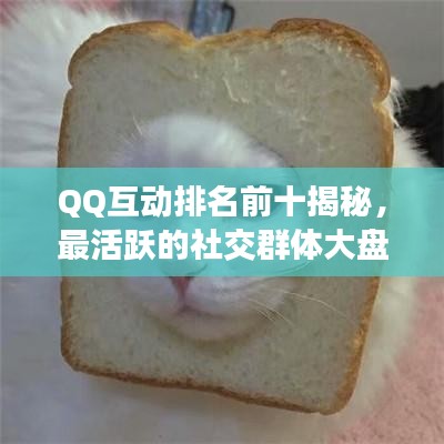 QQ互动排名前十揭秘，最活跃的社交群体大盘点