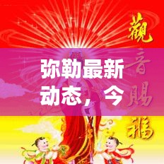 弥勒最新动态，今日视频报道速递