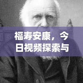 福寿安康，今日视频探索与分享盛宴