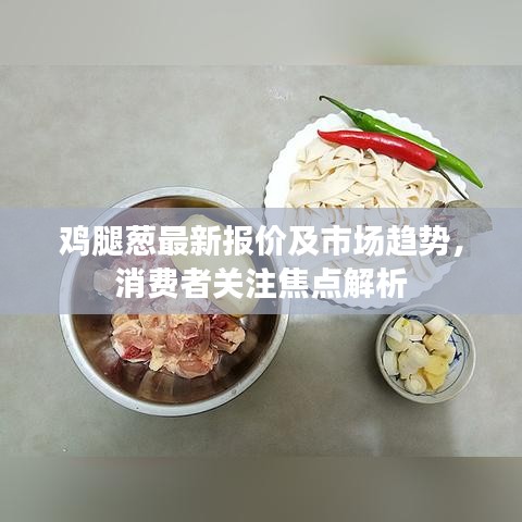鸡腿葱最新报价及市场趋势，消费者关注焦点解析