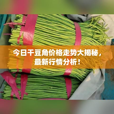 今日干豆角价格走势大揭秘，最新行情分析！