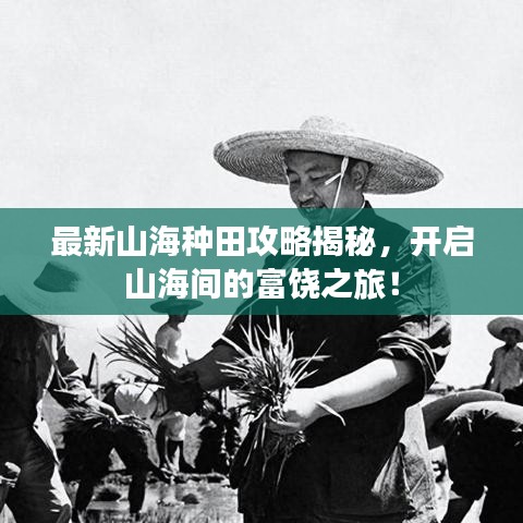 最新山海种田攻略揭秘，开启山海间的富饶之旅！