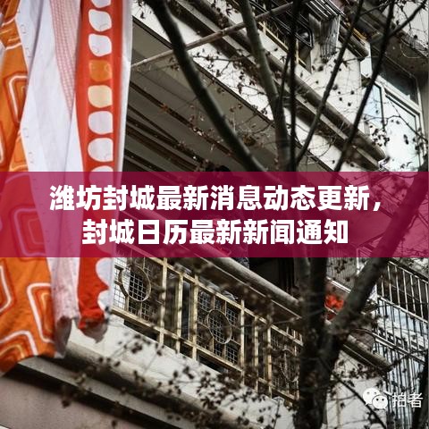 潍坊封城最新消息动态更新，封城日历最新新闻通知