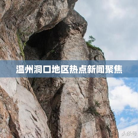 温州洞口地区热点新闻聚焦