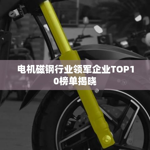 电机磁钢行业领军企业TOP10榜单揭晓