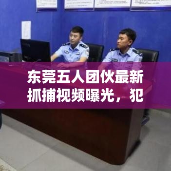 东莞五人团伙最新抓捕视频曝光，犯罪背后的惊人真相揭秘