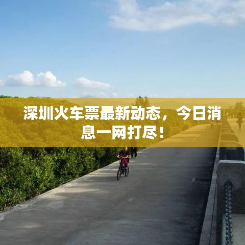 深圳火车票最新动态，今日消息一网打尽！