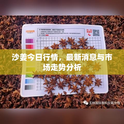 沙姜今日行情，最新消息与市场走势分析