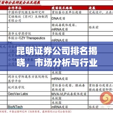 昆明证券公司排名揭晓，市场分析与行业洞察