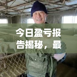 今日盈亏报告揭秘，最新分析表全面解读！
