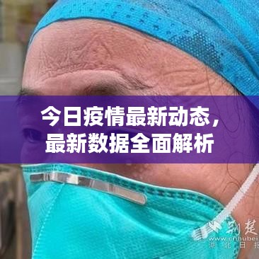 今日疫情最新动态，最新数据全面解析