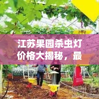 江苏果园杀虫灯价格大揭秘，最新价格表及市场趋势解析