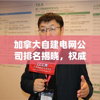 加拿大自建电网公司排名揭晓，权威榜单揭秘顶级企业！