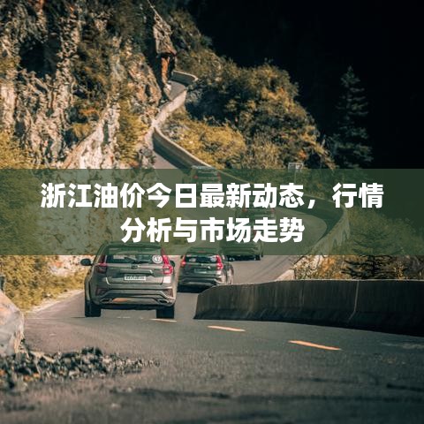 浙江油价今日最新动态，行情分析与市场走势