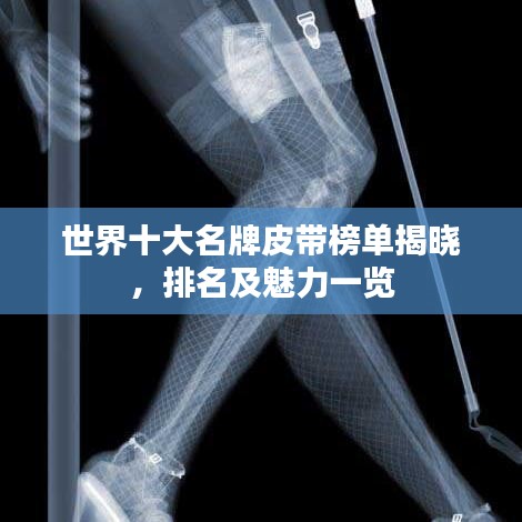 世界十大名牌皮带榜单揭晓，排名及魅力一览