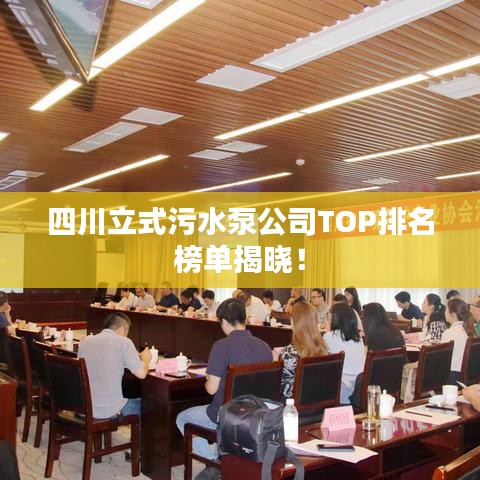 四川立式污水泵公司TOP排名榜单揭晓！