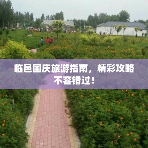 临邑国庆旅游指南，精彩攻略不容错过！