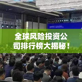 全球风险投资公司排行榜大揭秘！