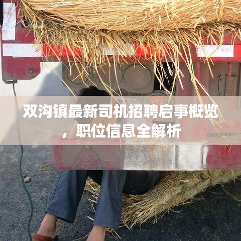 双沟镇最新司机招聘启事概览，职位信息全解析