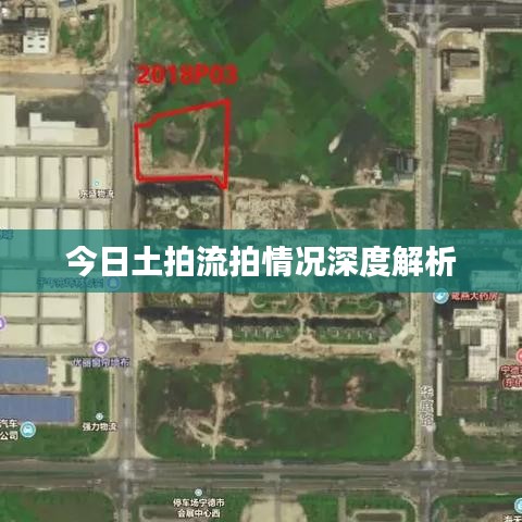 今日土拍流拍情况深度解析