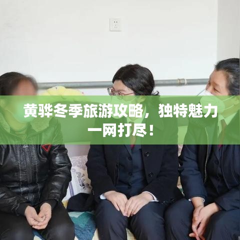 黄骅冬季旅游攻略，独特魅力一网打尽！