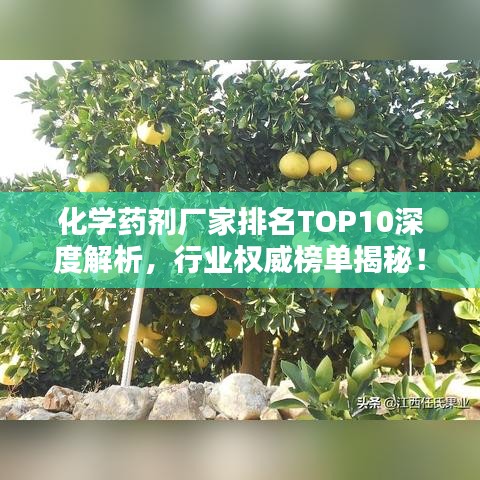 化学药剂厂家排名TOP10深度解析，行业权威榜单揭秘！