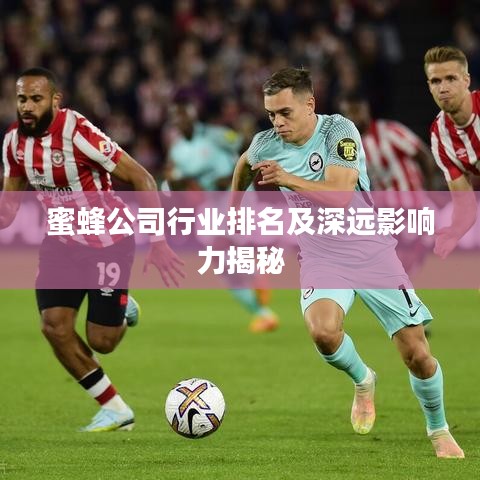 蜜蜂公司行业排名及深远影响力揭秘