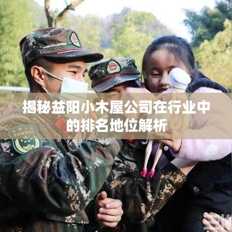 揭秘益阳小木屋公司在行业中的排名地位解析