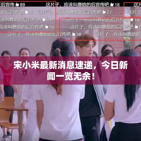宋小米最新消息速递，今日新闻一览无余！