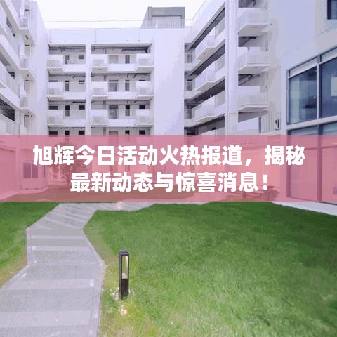 旭辉今日活动火热报道，揭秘最新动态与惊喜消息！