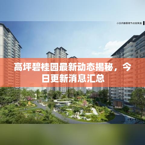 高坪碧桂园最新动态揭秘，今日更新消息汇总