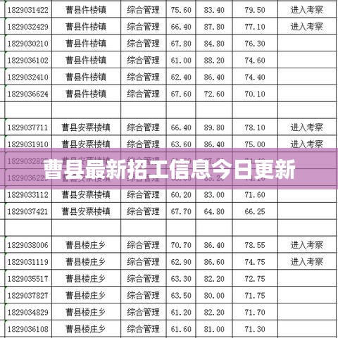 曹县最新招工信息今日更新