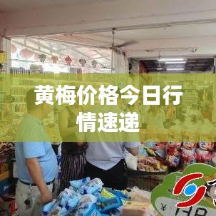 黄梅价格今日行情速递