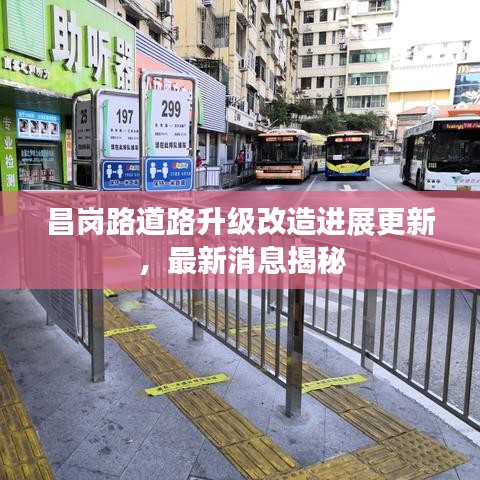昌岗路道路升级改造进展更新，最新消息揭秘