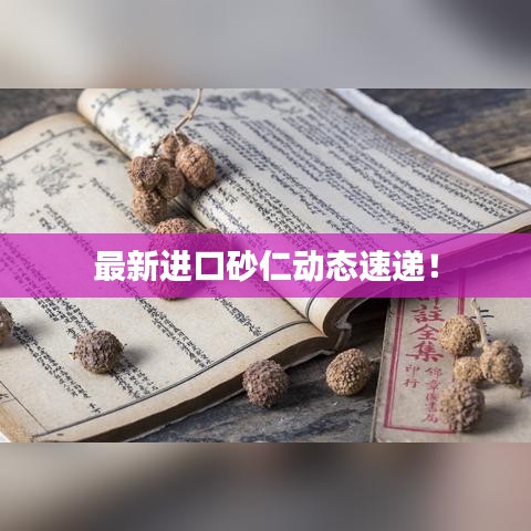 最新进口砂仁动态速递！