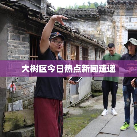 大树区今日热点新闻速递