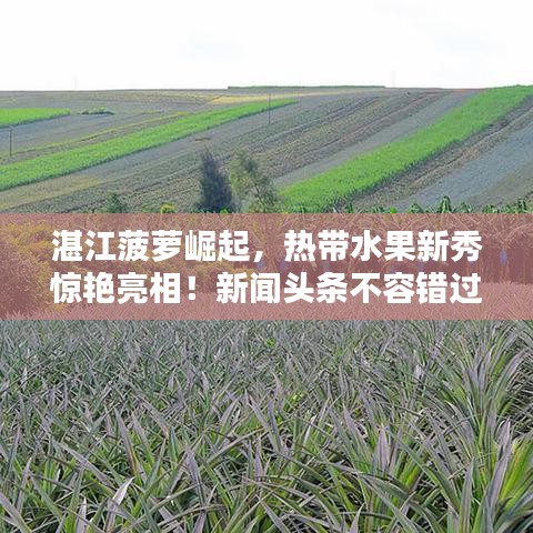 口若悬河