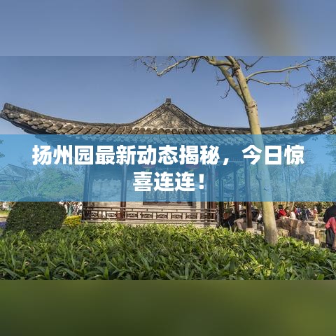 扬州园最新动态揭秘，今日惊喜连连！