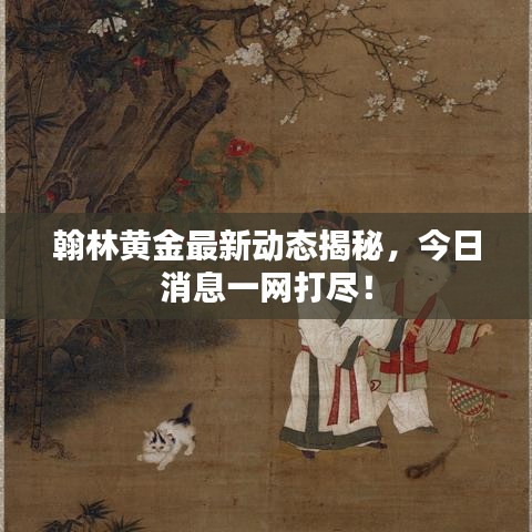 翰林黄金最新动态揭秘，今日消息一网打尽！